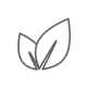 Leaves icon