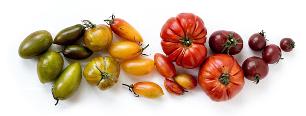 Assorted tomatoes 